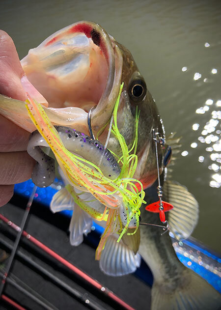 How To: Spinnerbaits For Bass In Stained Water Game Fish, 52% OFF