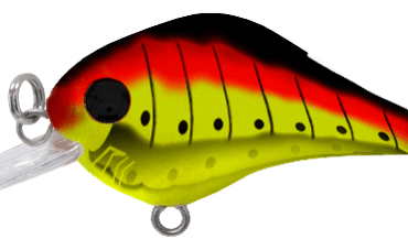 Red Caterpillar - GN18-804 - The Gnat - Bill Lewis