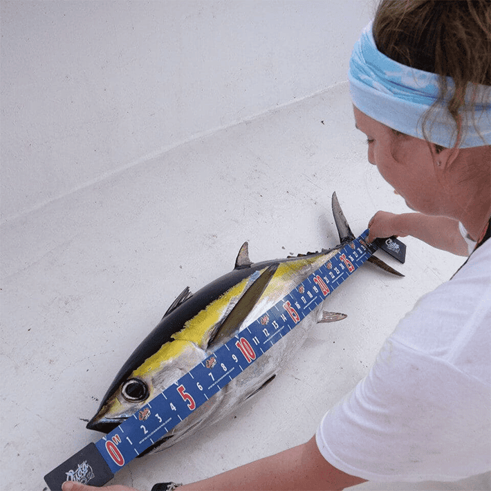 Daiichiseiko White Nogiscale 65 Fish Measuring Tape - Measures Fish up to  65cm